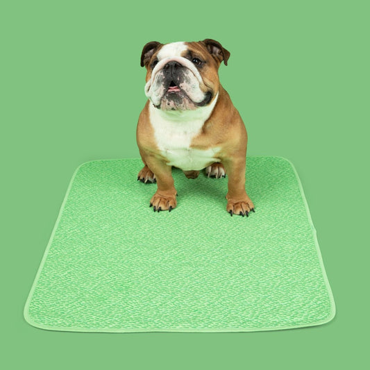 PottyPet™ - Leak-Free Potty Pad for Dogs (Green)