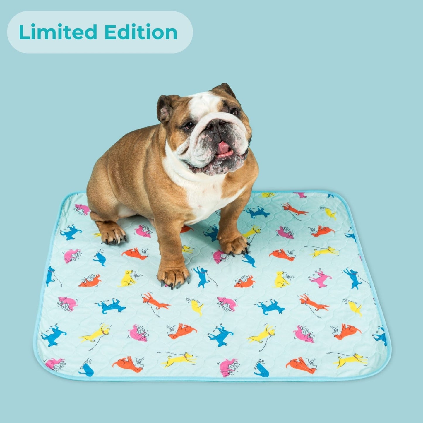 PottyPet™ - Leak-Free Potty Pad for Dogs (Pink)