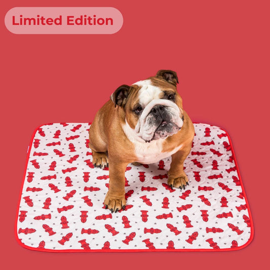 PottyPet™ - Leak-Free Potty Pad for Dogs (Red)