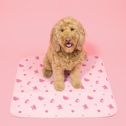 PottyPet™ - Leak-Free Potty Pad for Dogs (Pink)