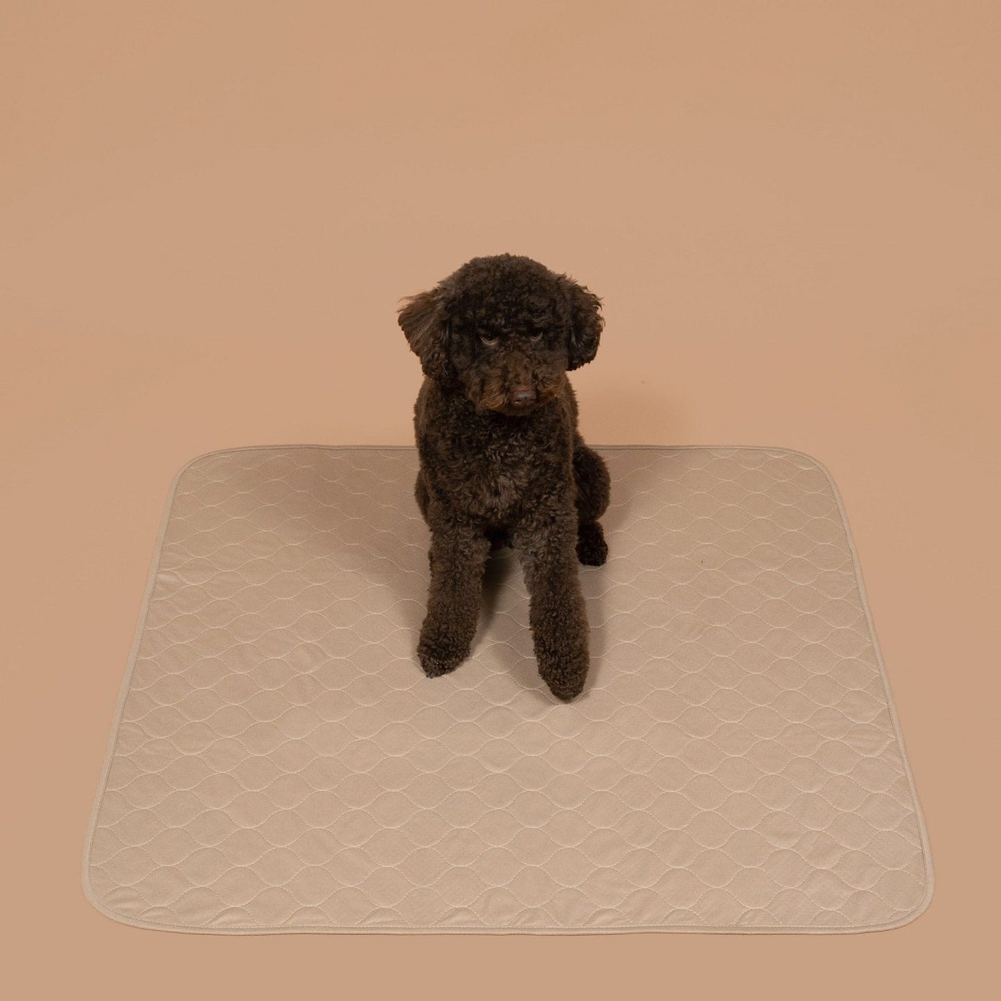 PottyPet™ - Leak-Free Potty Pad for Dogs (Pink)