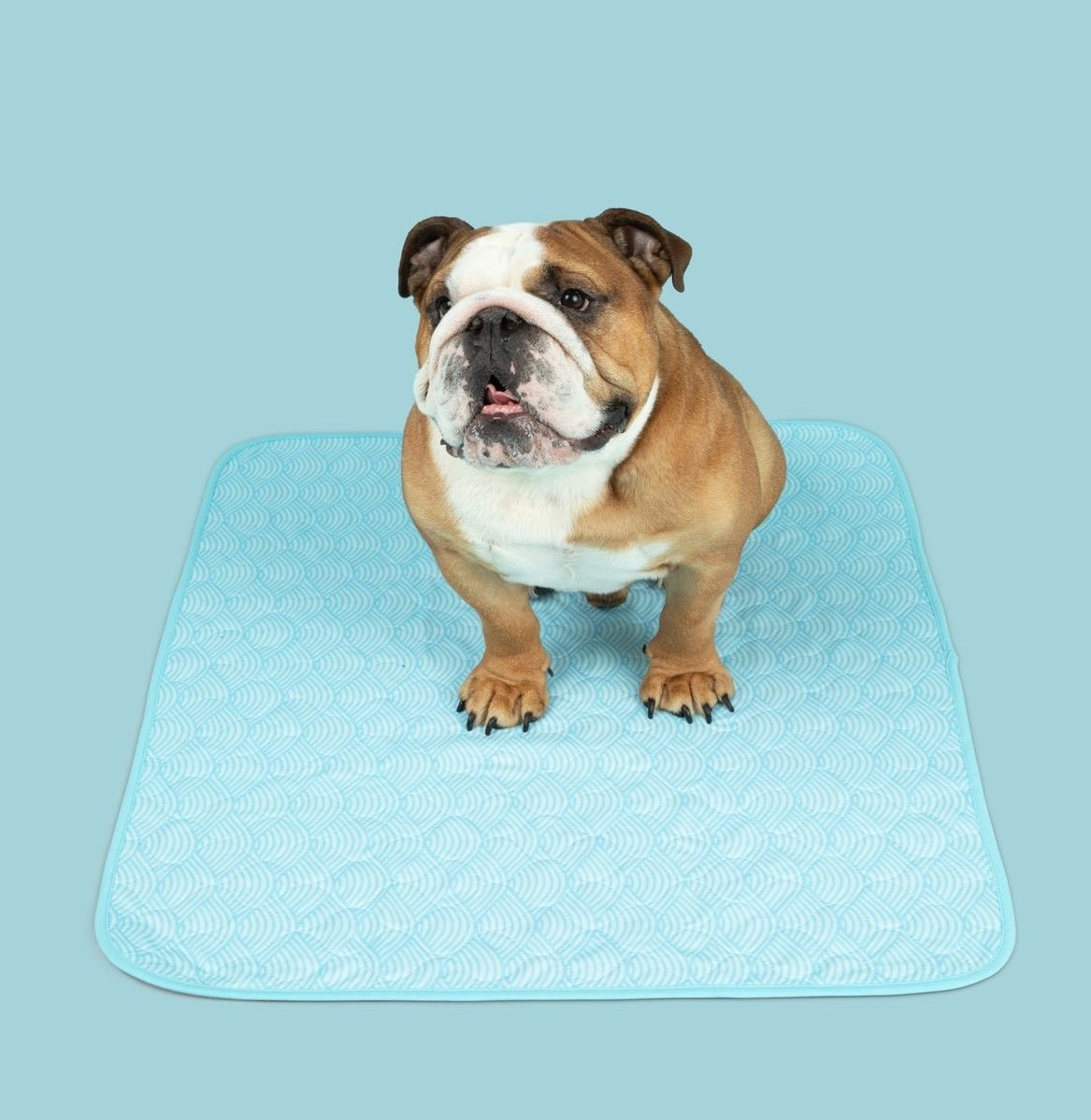 PottyPet™ - Leak-Free Potty Pad for Dogs (Pink)