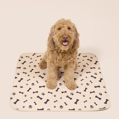 PottyPet™ - Leak-Free Potty Pad for Dogs (Green)