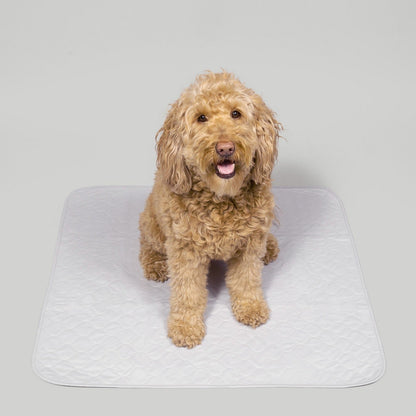 PottyPet™ - Leak-Free Potty Pad for Dogs (Green)