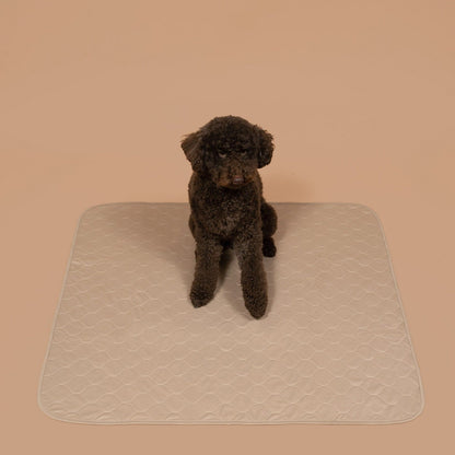 PottyPet™ - Leak-Free Potty Pad for Dogs (Green)