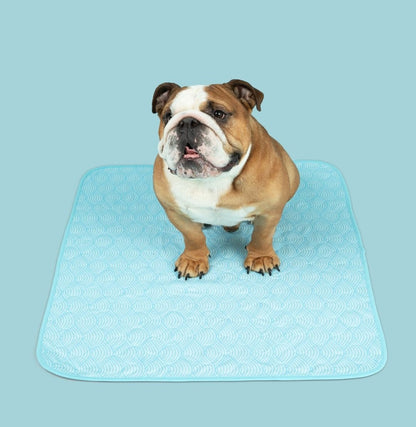 PottyPet™ - Leak-Free Potty Pad for Dogs (Green)